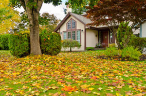 Preparing Your Home for Fall