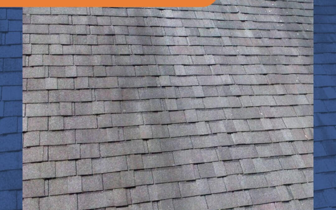 What are the Dark Streaks on My Roof?