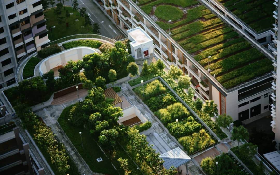 Environmentally Friendly Roof Options