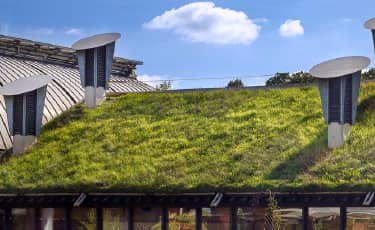 Green Roof