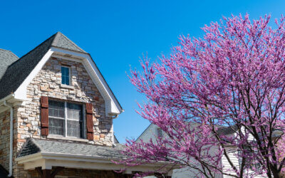 Spring Roof Readiness: A Post-Winter Checklist for Homeowners
